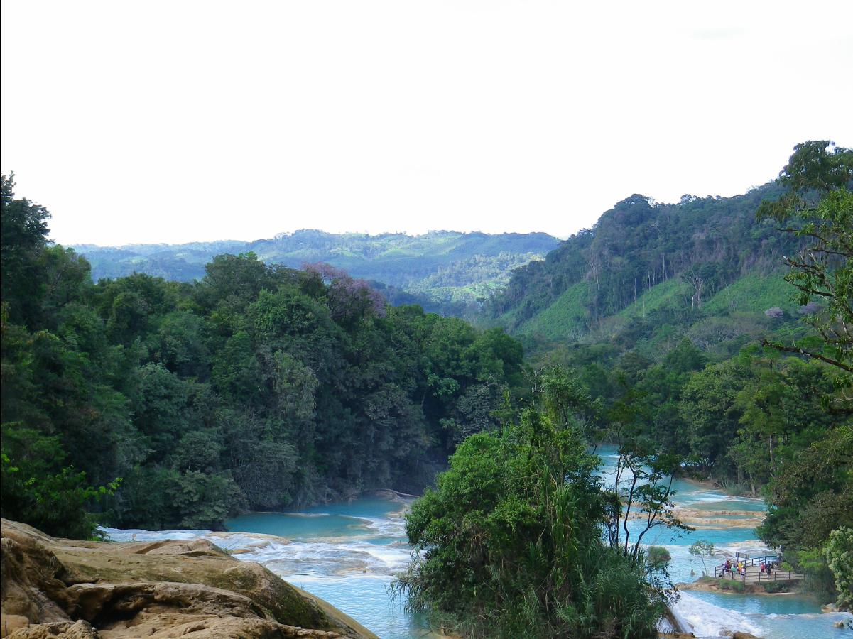 Agua Azul Waterfall40